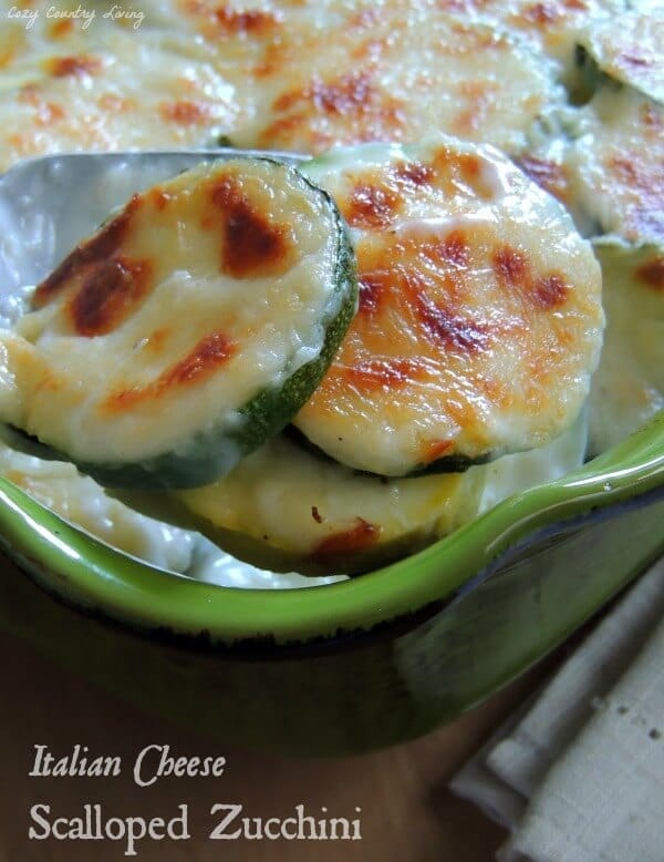 Italian Cheese Scalloped Zucchini by Cozy Country Living on This Silly Girl's Life - Zucchini Recipes, Kenarry.com