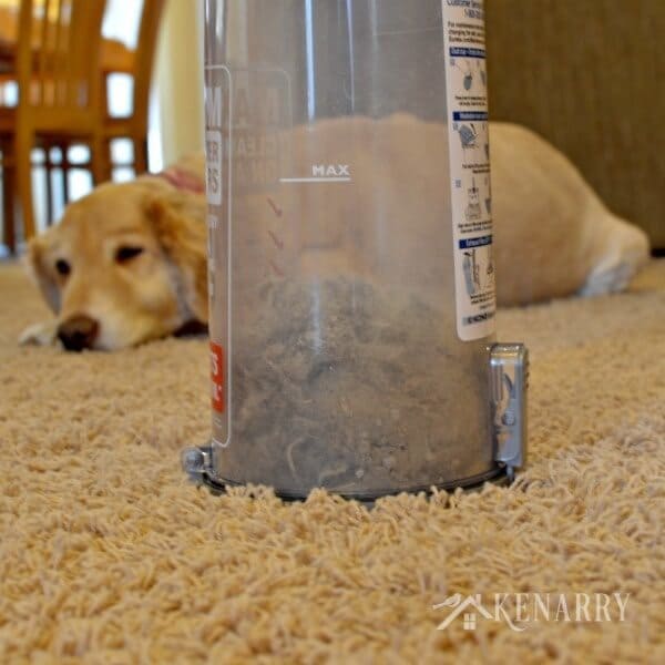 With this much dog hair, of course, she wants clean floors for Christmas. Free printable coupons to vacuum and clean floors. Great gift for Mother's Day, Valentine's Day, her birthday or anniversary too.