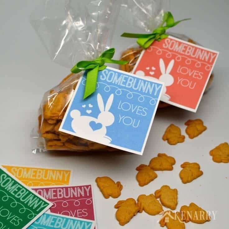 This is so cute! This free printable tag for Easter lets your child know "Somebunny Loves You". It would also work great as a valentine for friends and classmates at school.