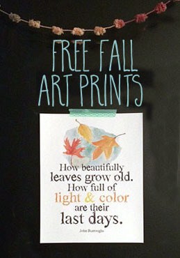 free fall art prints from Greco Design about changing leaves