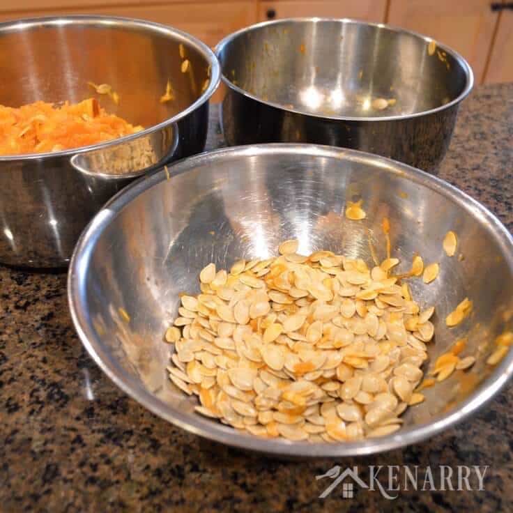 I've always wanted to know how to roast pumpkin seeds! I can't wait to try this savory recipe idea after we carve pumpkins for Halloween this fall.