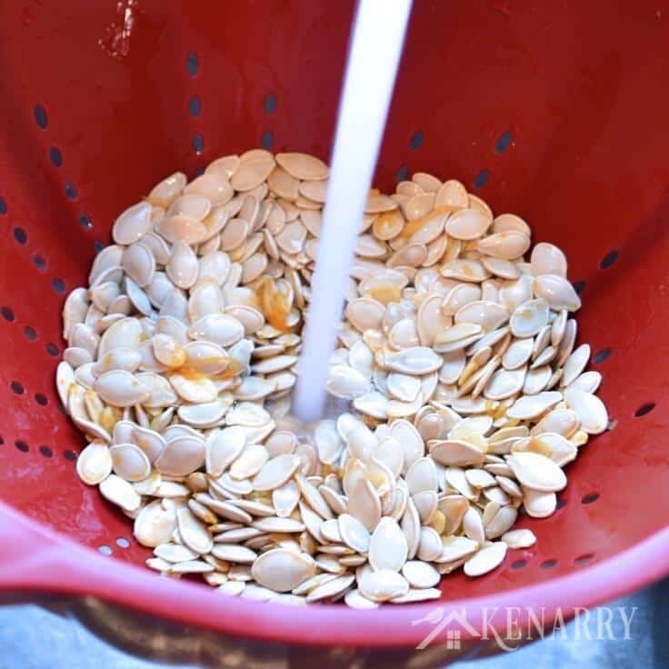 I've always wanted to know how to roast pumpkin seeds! I can't wait to try this savory recipe idea after we carve pumpkins for Halloween this fall.