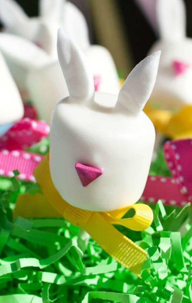 Easter Bunny Marshmallow Pops Tutorial - Frog Prince Paperie