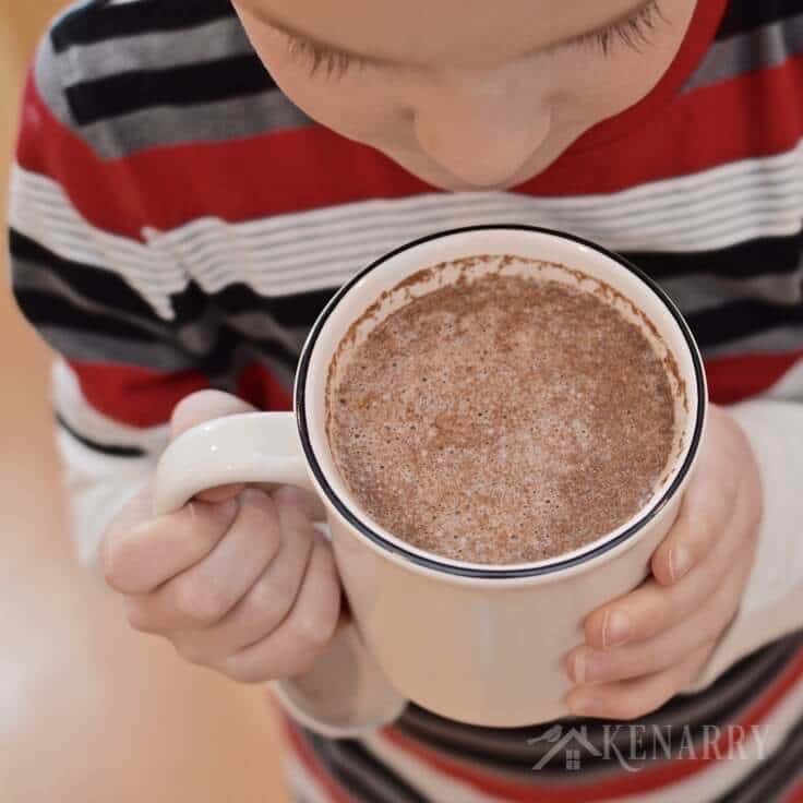 Warm Snickerdoodle Milk is an easy idea to make instead of hot cocoa to warm up on a cold winter or fall day. This sugar-free recipe uses cinnamon and vanilla to create a delicious drink the kids will love.