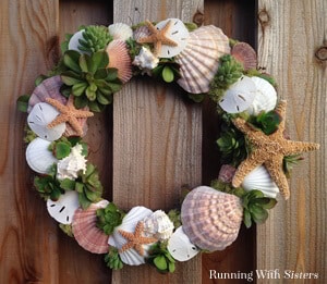 Make a wreath with seashells and succulents!