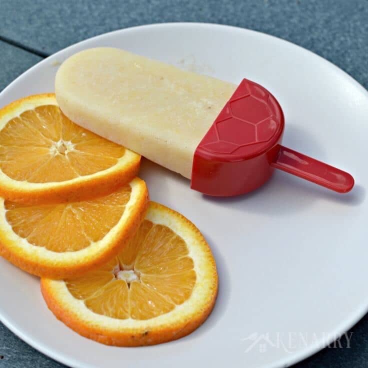 Homemade orange popsicle on top of fresh orange slices. 