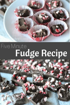 Five Minute Fudge Recipe | TypicallySimple.com