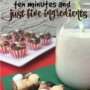 Ten Minute Hot Chocolate Fudge by Trish Sutton
