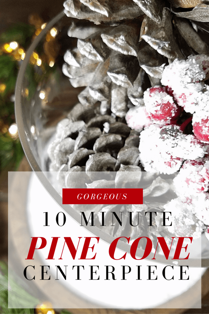 Beautiful pine cone holiday centerpiece that only takes 10 minutes.