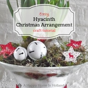 hyacinth-christmas-arrangement