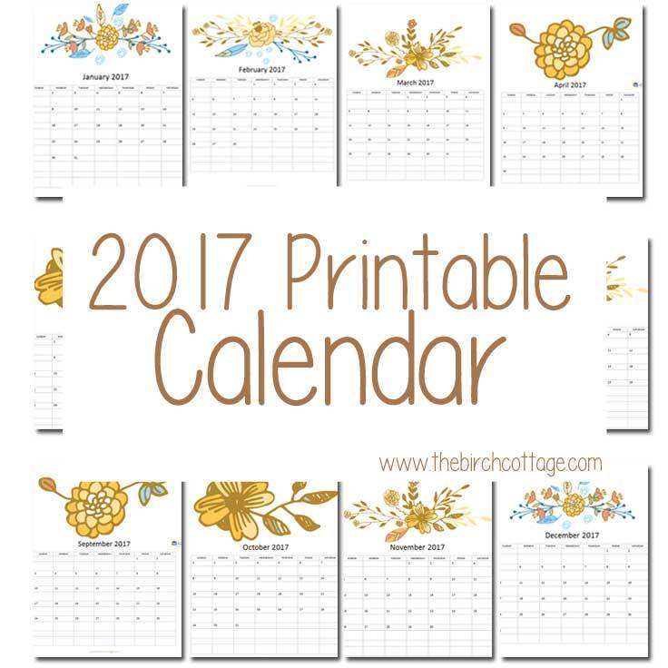 2017 Printable Monthly Calendar from The Birch Cottage