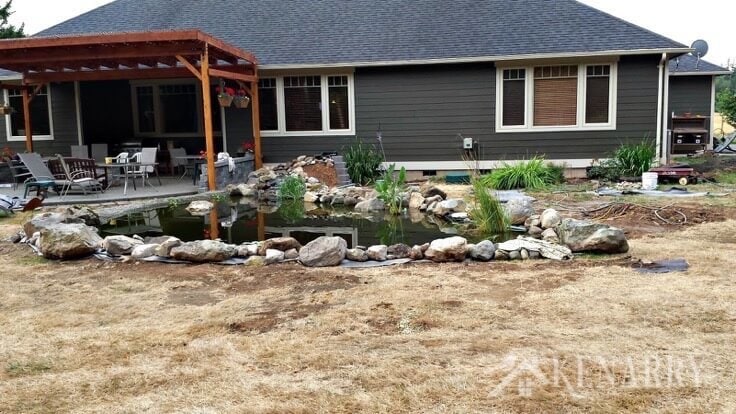A DIY Pond before the grass grew back