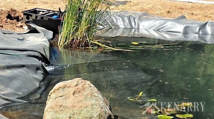 A DIY Pond on a tarp