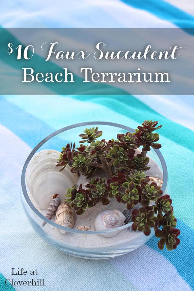 faux-succulent-beach-terrarium
