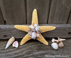 Make a Shell Embellished Starfish! This beach chic accent is easy to make. Watch our video tutorial to see how we did it!