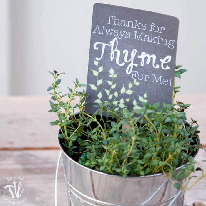 Teacher Appreciation Gift: Potted Herbs with Tags – Houseful of Handmade - Teacher Gift Ideas featured on Kenarry.com