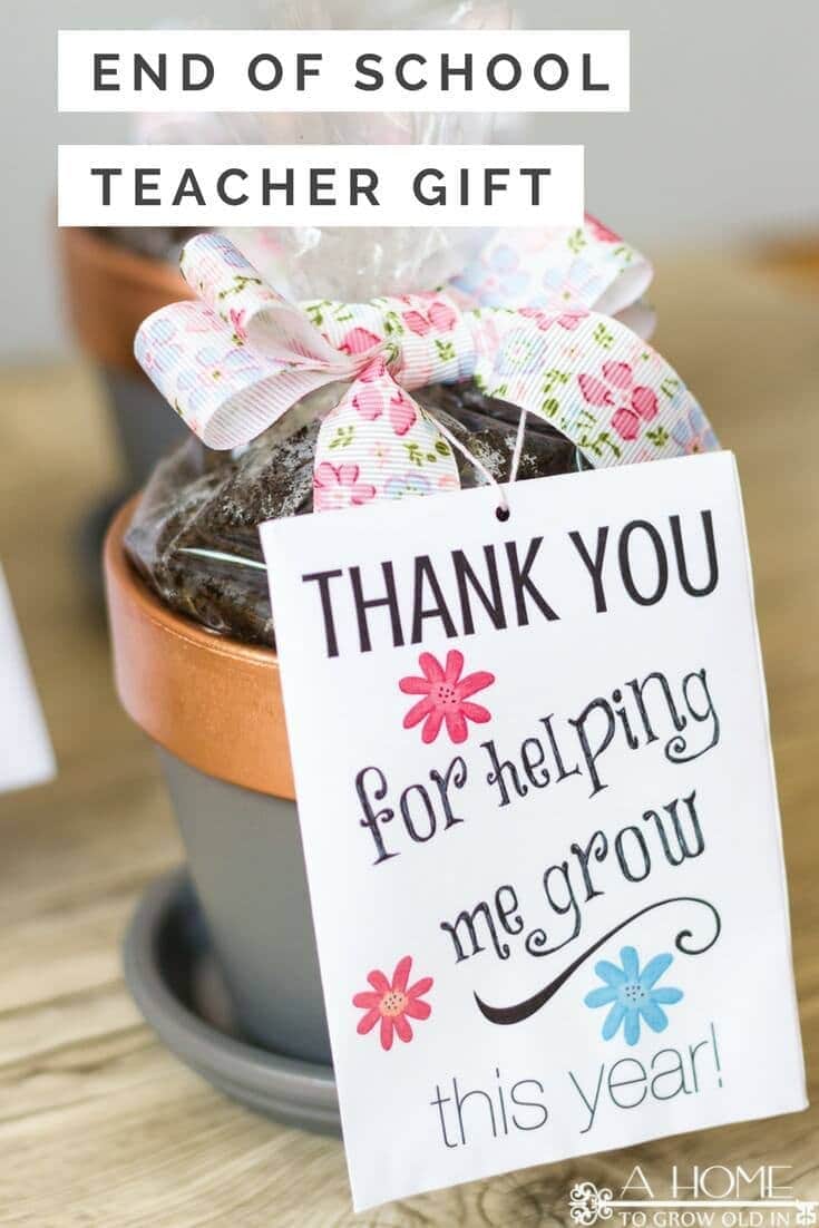 These easy DIY teacher appreciation gifts with a free printable envelope are perfect for the end of the school year! Pin it now, so you won't forget it later!