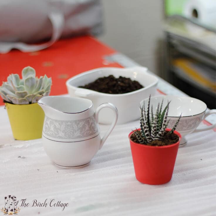 Use repurposed china to make this succulent planter, just in time for Mother's Day.
