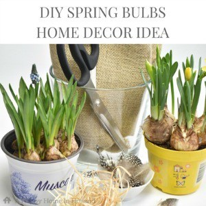 DIY Spring Bulbs Display Idea