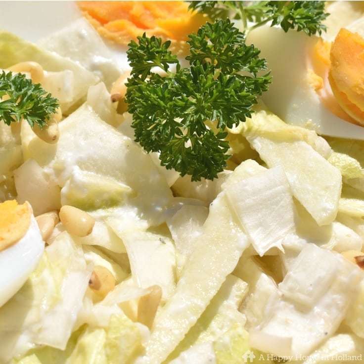 Endive And Apple Salad Recipe - quick, easy and super healthy too!