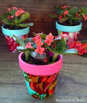 Decoupage mini terra cotta pots with fabric and Mod Podge. Super cute gift idea!