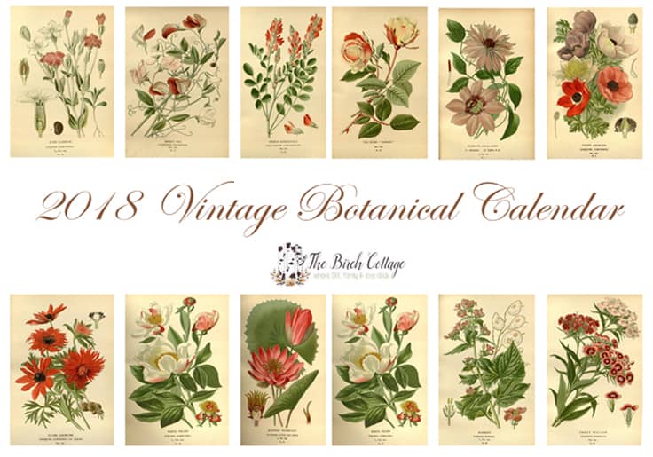 2018 Printable Monthly Calendar featuring Vintage Botanical Illustrations from The Birch Cottage