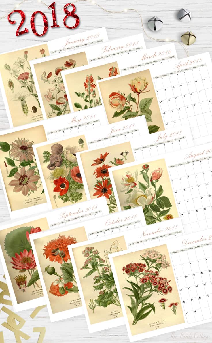 2018 Printable Monthly Calendar featuring Vintage Botanical Illustrations from The Birch Cottage