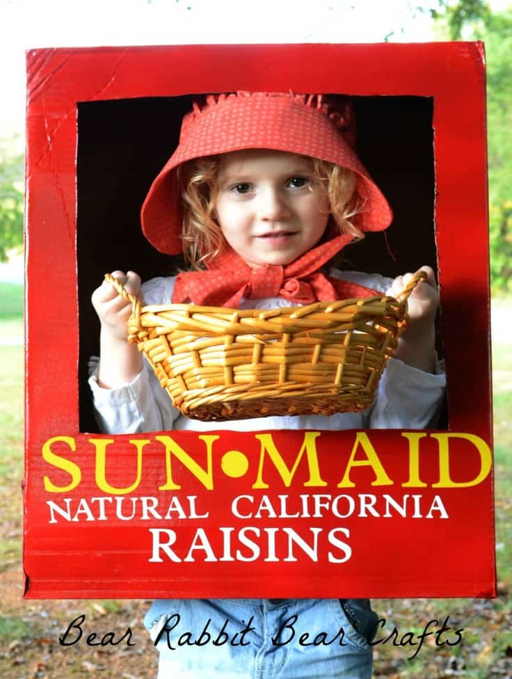Sunmaid Raisin Halloween Costume – It Happens In a Blink - Halloween Costumes: The 15 Cutest Ideas for Kids featured on Kenarry.com 