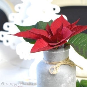 Decorating with poinsettias