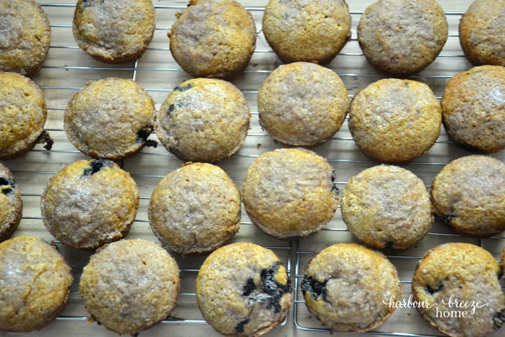 Pumpkin Blueberry Streusel Muffins