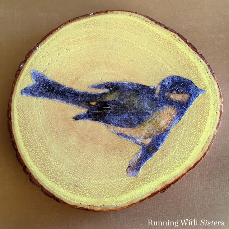 Learn how to do image transfer using Mod Podge. We'll show you how to make Image Transfer Bird Coasters from start to finish. This is a great gift craft!