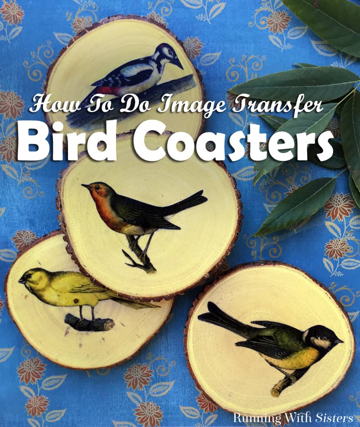 Learn how to do image transfer using Mod Podge. We'll show you how to make Image Transfer Bird Coasters from start to finish. This is a great gift craft!