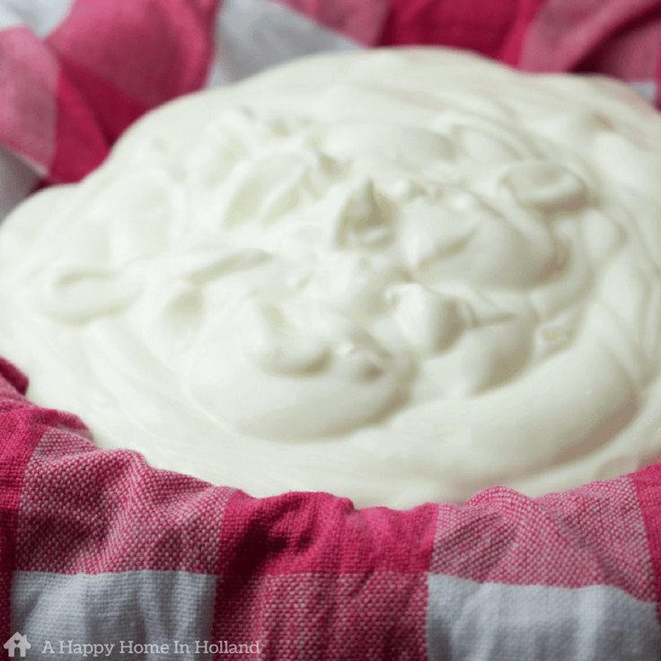 creamy yogurt curd dessert
