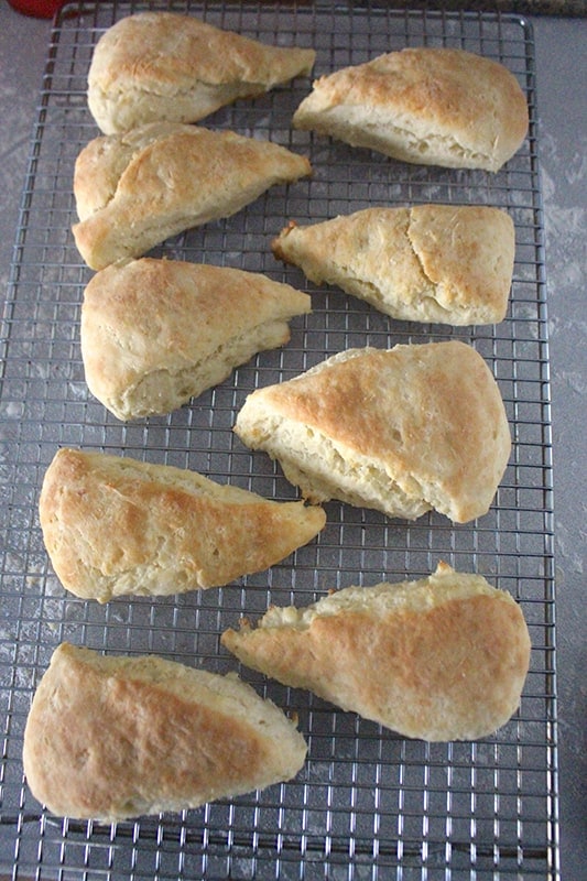 food-processor-buttermilk-scones-baked
