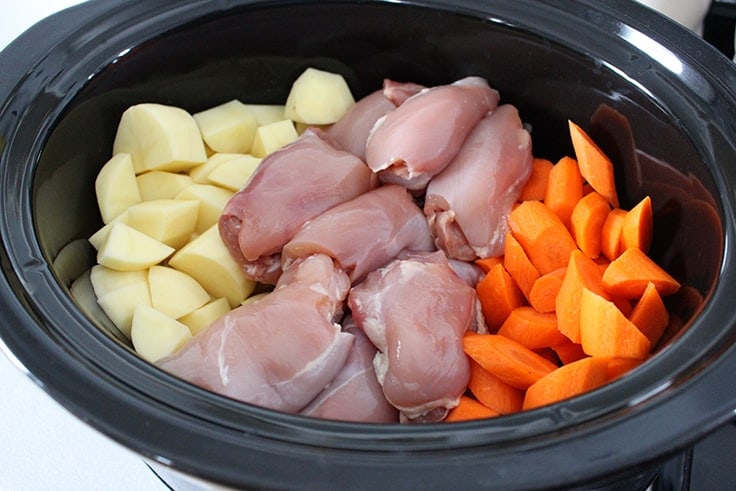 ingredients for Slow Cooker Honey Garlic Chicken and Vegetables