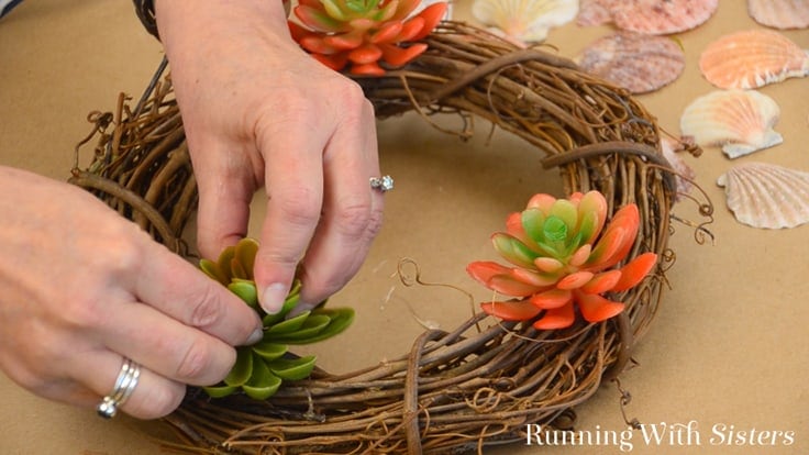 Make a Succulent Seashell Wreath perfect for summer! In this video tutorial we'll show you how to attach the succulents and shells and how to finish with moss. Complete step by step instructions.