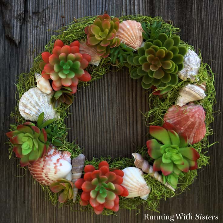 Make a Succulent Seashell Wreath perfect for summer! In this video tutorial we'll show you how to attach the succulents and shells and how to finish with moss. Complete step by step instructions.