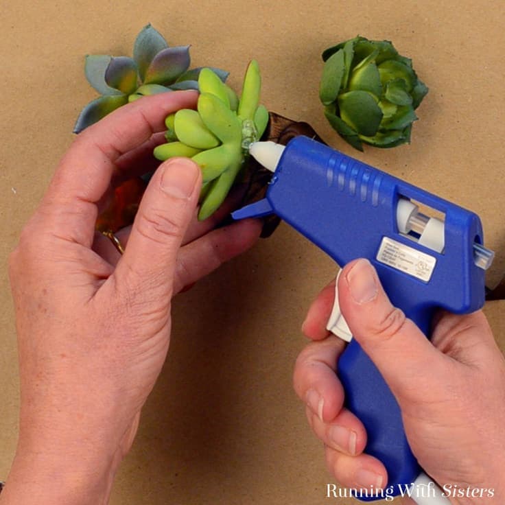 Make these easy succulent napkin rings in minutes from a paper towel roll, ribbon, and dollar store succulents! Video tutorial and written instructions.