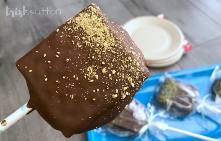 Chocolate Dipped S'mores on a Stick Summer Party Treat