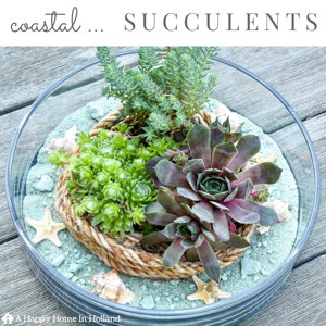Learn how to make a chic coastal succulent planter using this easy to follow tutorial over on ahappyhomeinholland.com