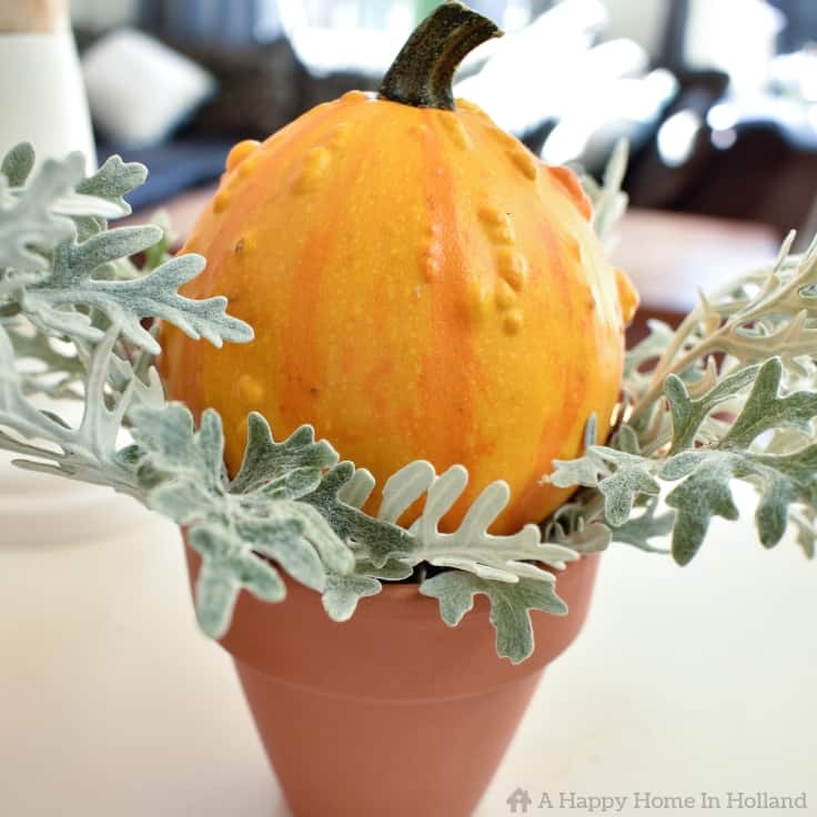 Learn how to create a simple but stylish display using pumpkins and gourds. #fall #falldecorideas #fallhomedecor #falldecorations #pumpkins #kenarry
