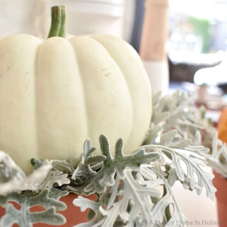 Learn how to create a simple but stylish display using pumpkins and gourds. #fall #falldecorideas #fallhomedecor #falldecorations #pumpkins #kenarry