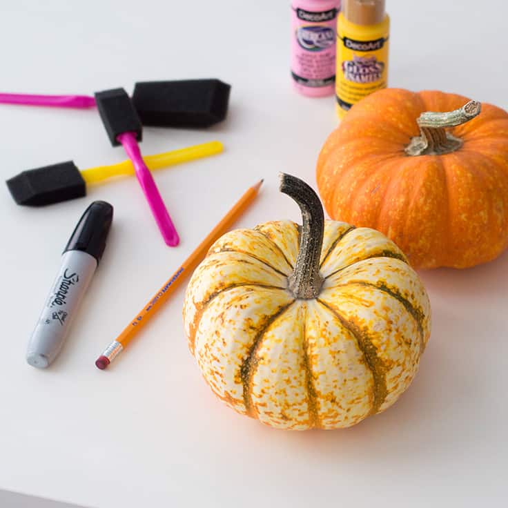 An easy-peasy DIY for Thanksgiving - a pastel pumpkin centrepiece that say "Give Thanks"
