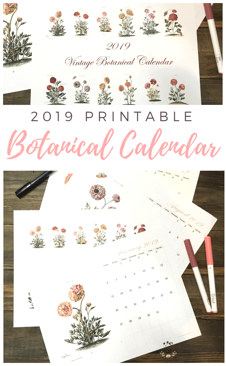 Use this free 2019 printable monthly calendar with vintage botanical art to record your important dates. You can also use it as a wall or desk calendar.﻿ It looks beautiful printed in both color and black and white. #calendar #freeprintables #kenarry