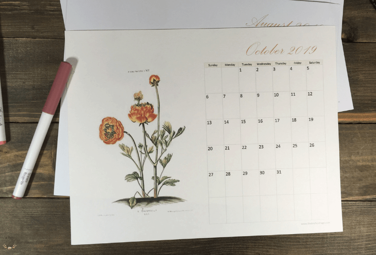 2019 Printable Monthly Calendar With Vintage Botanical Art by The Birch Cottage