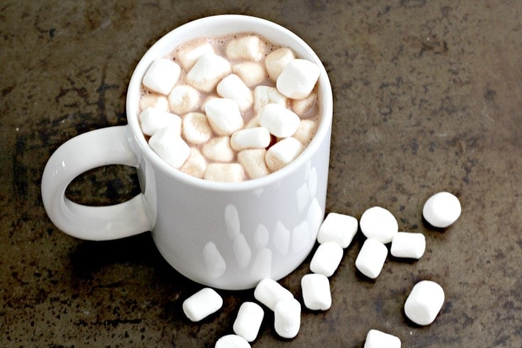 Single serve cup of hot chocolate with marshmallows.