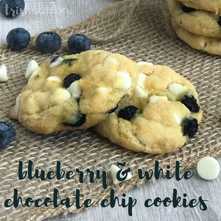 A slightly sweet easy and unique recipe for the best Blueberry White Chocolate Chip Cookies from scratch that are melt in your mouth soft and sure to be loved by any crowd.﻿ #cookies #cookierecipe #kenarry