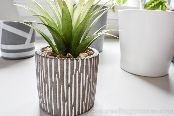 image of modern indoor planter.