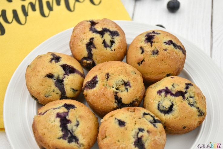homemade blueberry muffins recipe fresh out of the oven