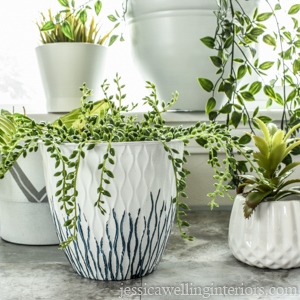 image of modern indoor plant pots with plants made from pots found at the dollar store